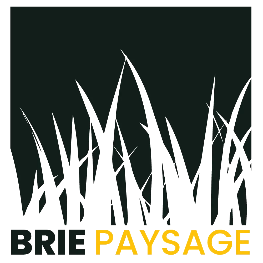 logo-brie-paysage