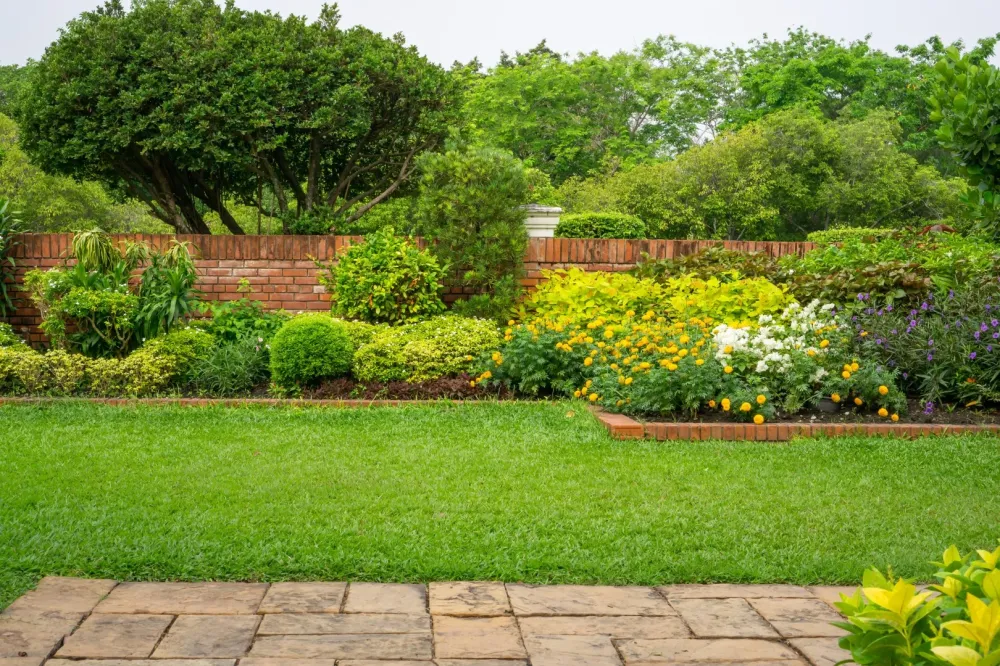Entretien de jardin à Boissy le Châtel
