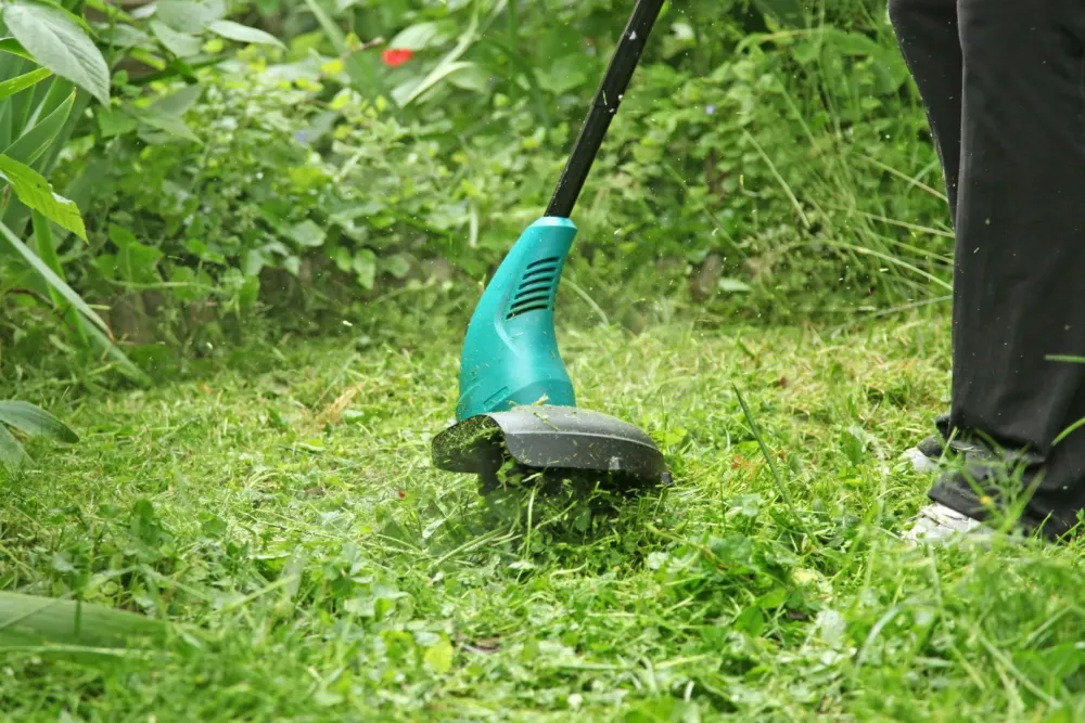 Débroussaillage à Boissy le Châtel